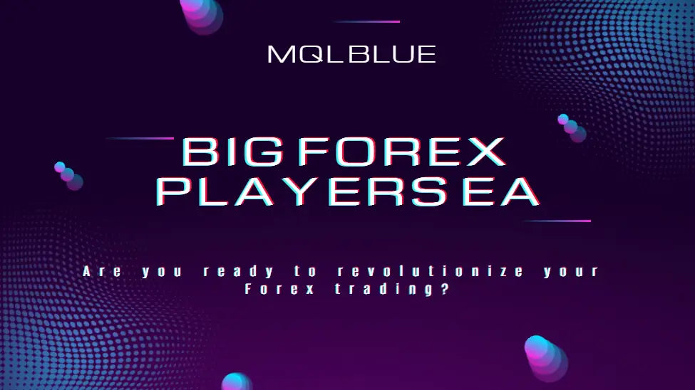 Mqlblue big forex players ea software interface with neon purple and blue digital graphics in v5.1 big forex players mt4