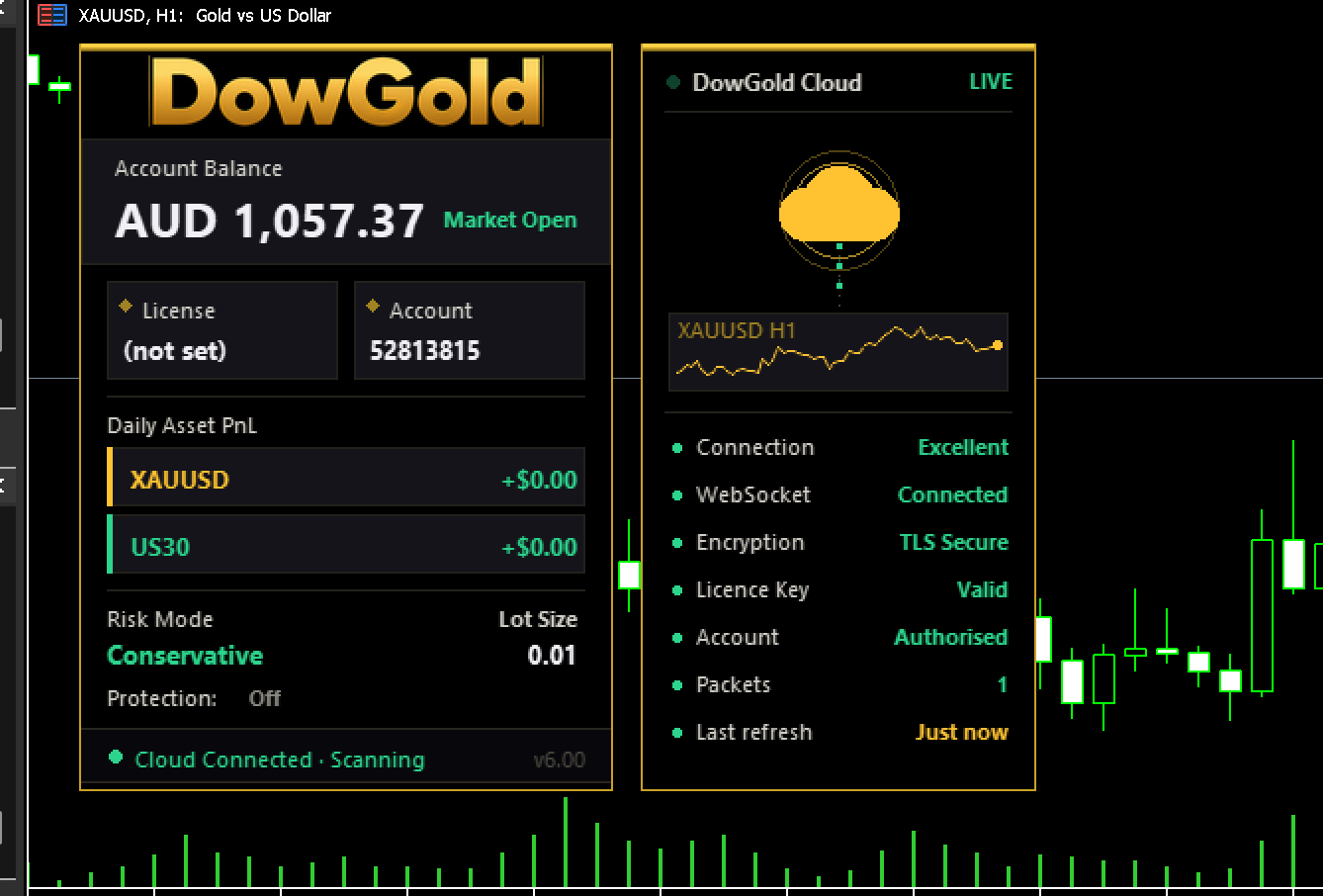v6.0 DowGold EA MT5