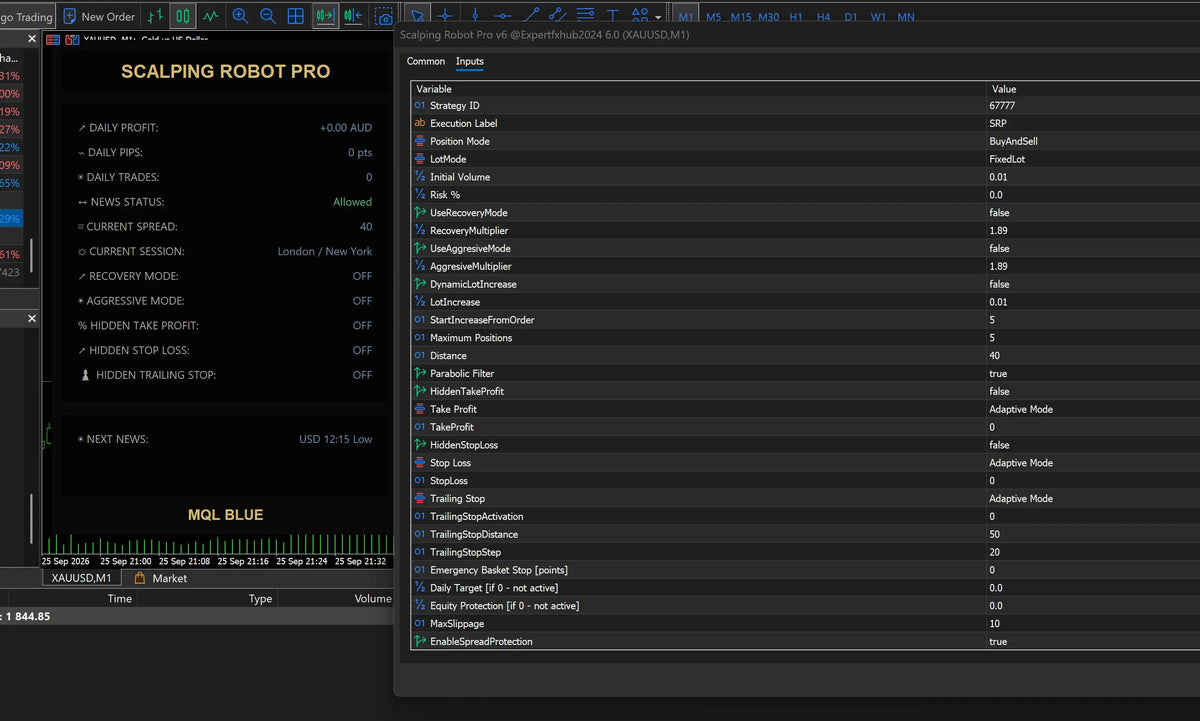 [SOURCE CODE] Scalping Robot Pro MT5 v6.0