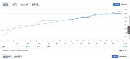 The twisterpro scalper mt5 financial dashboard shows line graphs and numerical data for equity and drawdown trends over time