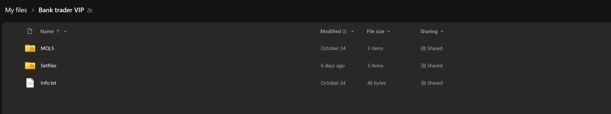 Dark-themed file explorer window showing folders and files with minimalist interface in v1.0 bank trader forex mt5 product