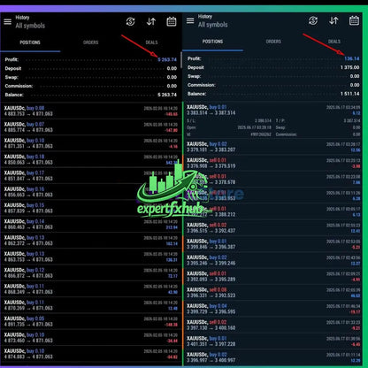 Digital trading platform interface of v4.2 btx scalper pro mt5 showing financial data and charts for market analysis