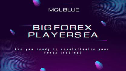 Mqlblue big forex players ea software interface with neon purple and blue digital graphics in v5.1 big forex players mt4