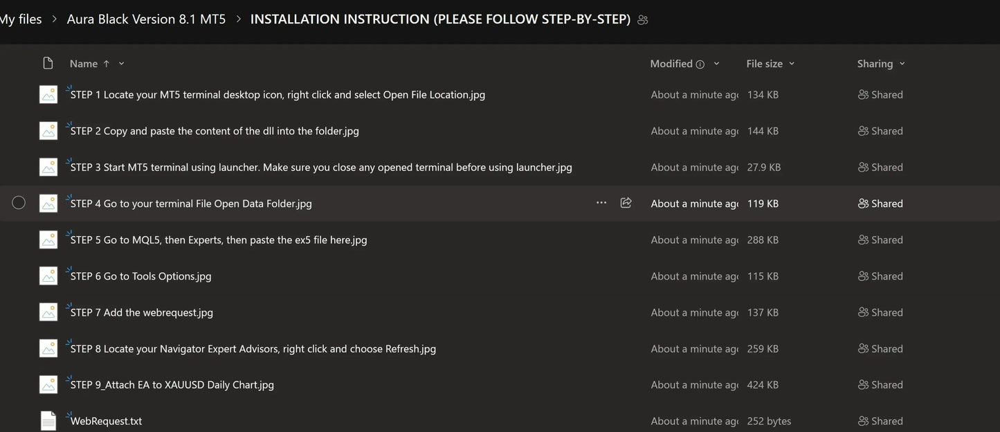 A file explorer showing installation instructions for the v8.51 aura black gold mt5 mts terminal with image files