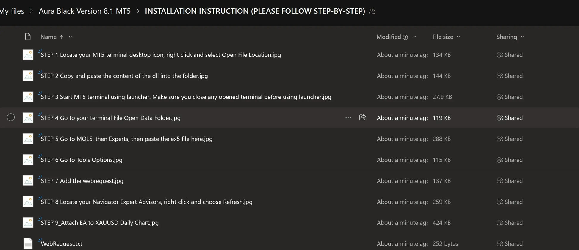 A file explorer showing installation instructions for the v8.51 aura black gold mt5 mts terminal with image files